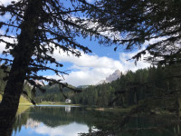 IMG 8114